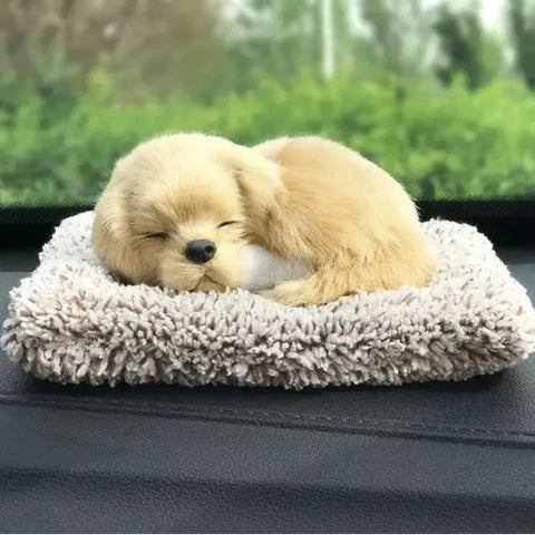 Dashboard Accessories