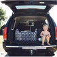 Trunk Organizer, Foldable Cargo Storage Bag